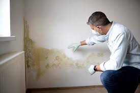 Best Real Estate Mold Inspection  in Jasper, GA